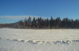 � ������� ������������ ��������������� �������� �������� 