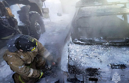 � ���������� � ������ ���� ������� 37 �����