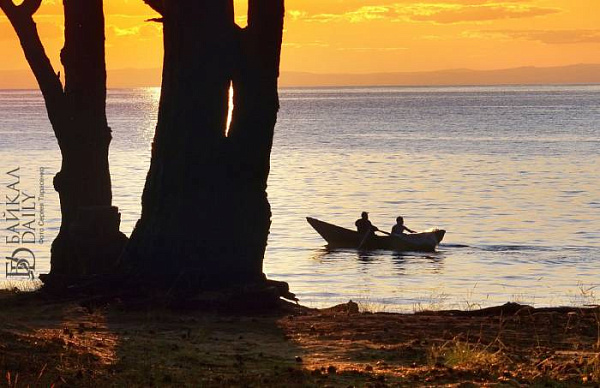 ������� ������� ������ ����� ���������� �������������� ������ ������ 