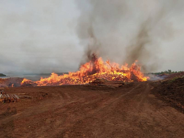 � ��������� ������� �������� ������� ���� 