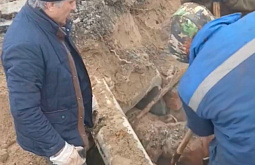 �� ������ ������� 195 ����� �������� ��� ����� � ������� ����