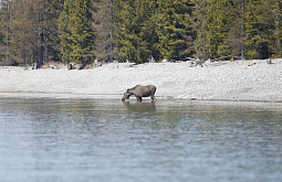 � ������� ������ �������� �������������