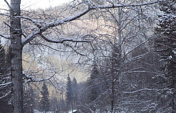 ��������� ������� �� ���� � ���������� � ��� ������ � �������