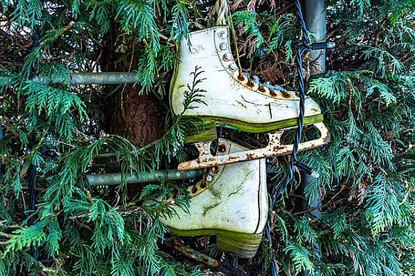 � ����-��� ��������� ���� 