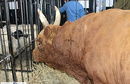 � ������� ��������� �������� ����� ����� ������ � �������