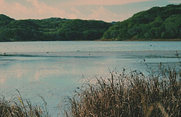 � ������� ��������������� ���������� ���� 