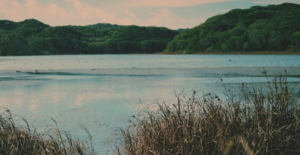 � ������� ��������������� ���������� ���� 