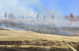 � ������� 28 ������ ����� ���� ������ �����