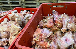 � ���� ����������� � ������� ����� �������� ���������