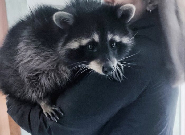 ���� ������ �������� �� ���� � ����� � ��������� ������ �������	