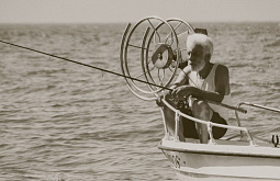 ��������� ���������� ������ ����� ������� � �����