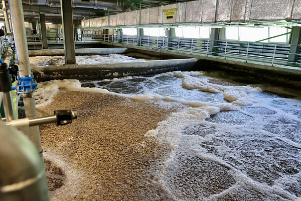 � �������� ������� ������� ������� �� ����������� ������� ���