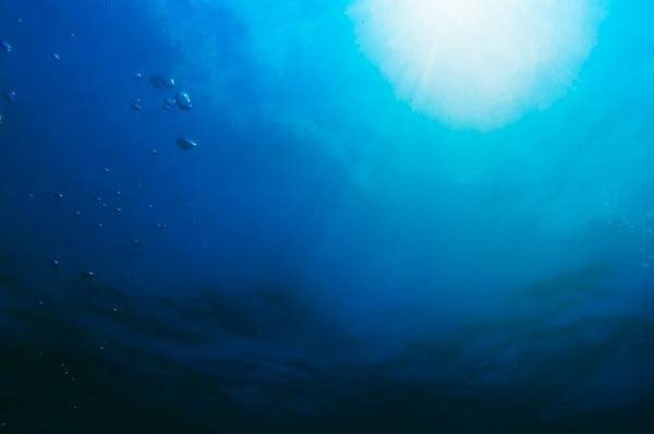 � ������� ����� ���� ���� ��������� 