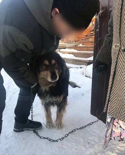 � ����-��� ����� ������� ������, ������� ����� �� ��������� 