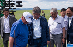 ������� �������: ������ ���� ������������� ������������ ���