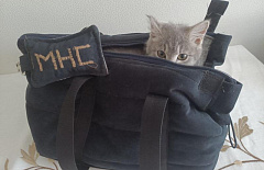 ����� ����� ������� ������� ����������� � ����������