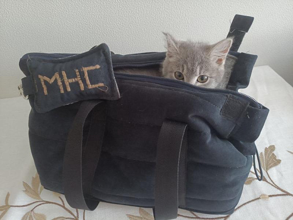 ����� ����� ������� ������� ����������� � ����������