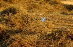 � ���� ������� ��-�� ����������� ����� ������� ����