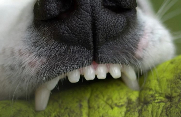 � ������� ����� ����� ������ �� ������� 