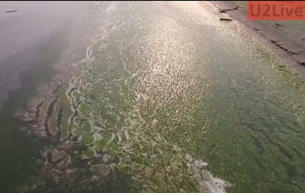 ������ ������������ � ��������� ������ (�����) 