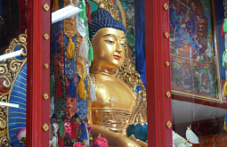 ������� ������� ������������ ������������ �� �������� � ��������������