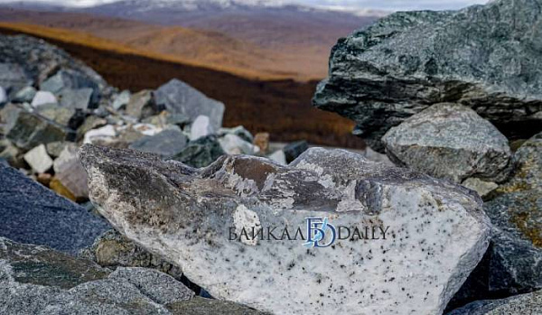 � ������� ������ �������� ����� ����� 9 ���� �������