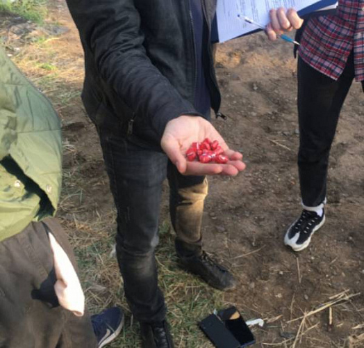 � ����-��� ��� ����������� ������ ����������� 