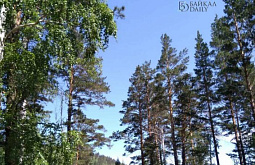 ������ ���������� ������ ������� ���������� ������ ������� ���� 