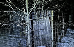 � ��������� ������� ���������� ������� ����� � �������� ����� ����� �����