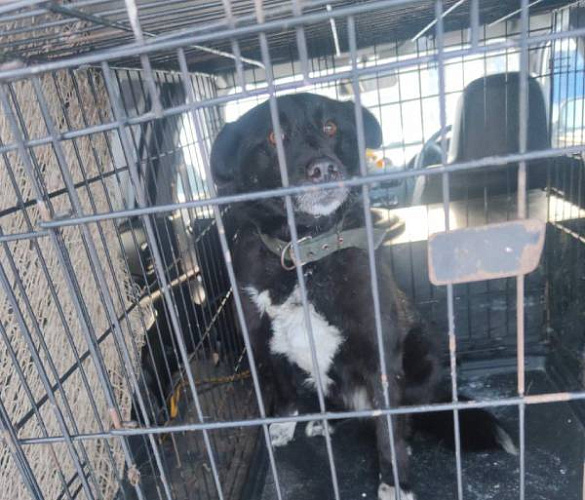 � ����-��� ��������� ������ �� ������� 