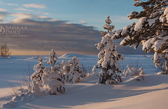 ������� ��� ������������ ����� ������