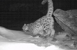 � ������� ������ � ������� ��������� ���������