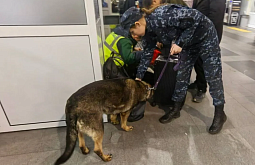 ������ ������� ������� � ����������� � ��������� ��������