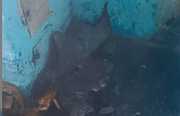 � ���������� ��� ������ ������ ������� 75-������ �������