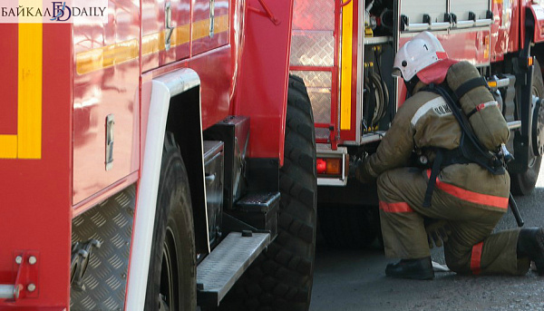 � ������� ����� �������� ������ ���� 