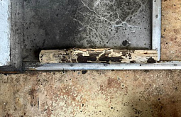 ������ ������� ������� ����� ������ ��������� �������