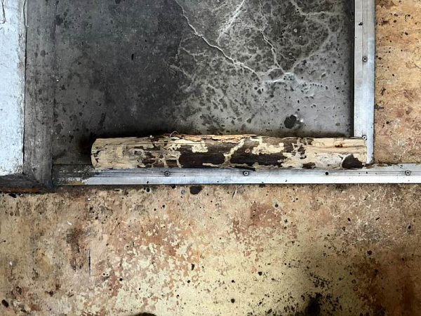 ������ ������� ������� ����� ������ ��������� �������