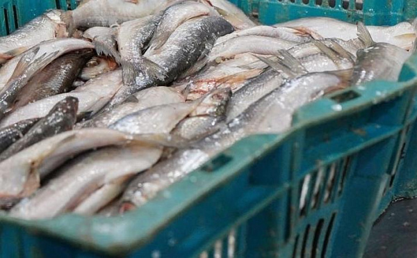 � ������� ��������� ���� ����������� ��-�� 16 �����