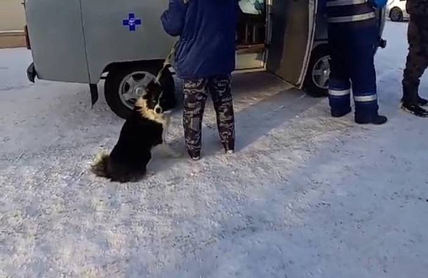 � ����-��� ������������� �� ������ � ����� ����� �� ��������� 