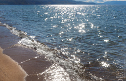 ������ ����������� ���������� ����� � ���� �������