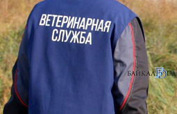 � ����-��� �� ����� ����� ���� ���� 