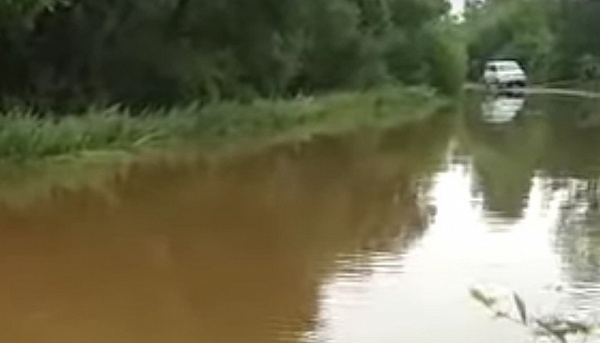 � ������� �� �������� ����� 131 ������������ ��������