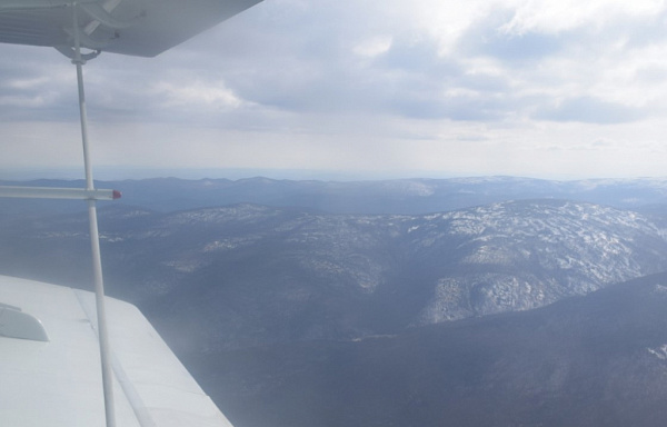 � ������� ��������� ���� �� ���������� ������������ ��������