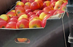 � ������� ��������� ������������ ������ ����� 