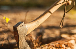 ���������� ������� �������� ����, ����������� � ��������