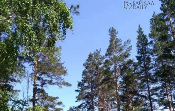 � ��������� ������� ���� ������������� � ���� ���������