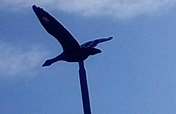 � ������� �������� ������ ������ �����