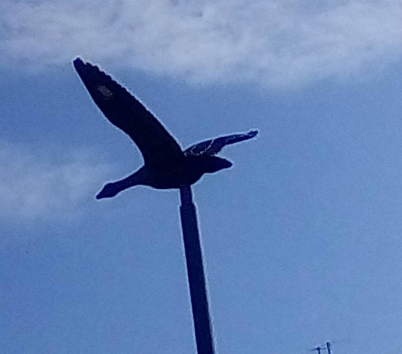 � ������� �������� ������ ������ �����