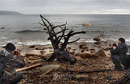 �� ������� ��������� 26 ����� ������������