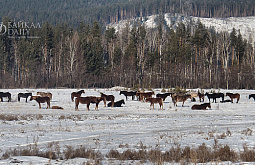 ������ ������� �� �� �� ������� ������� ���������� �������� ������ 